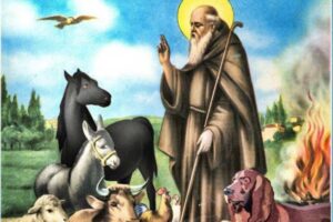 Torna la festa di Sant’Antonio Abate: il programma